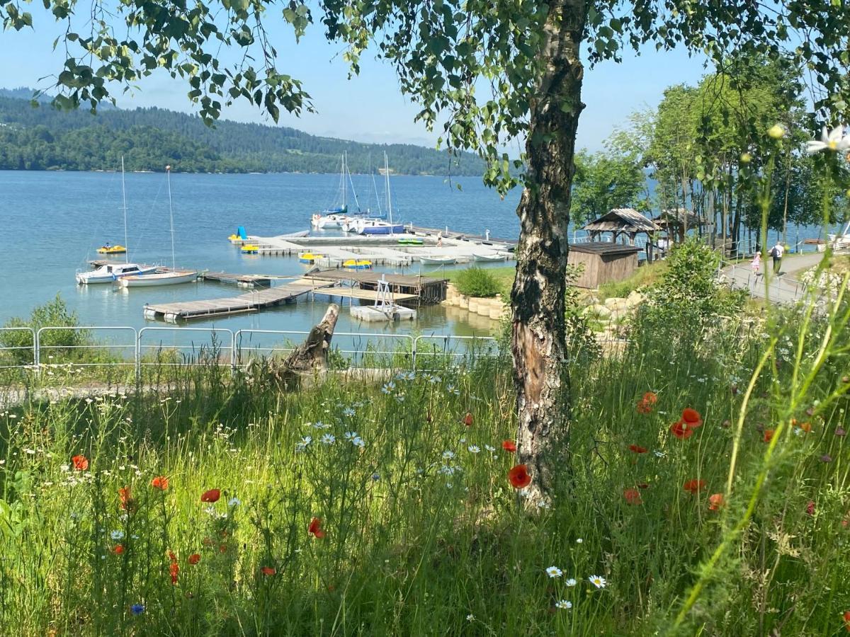 Apartament Czorsztyn Lake & Ski Luaran gambar